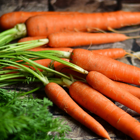 How to Grow Carrots in Georgia