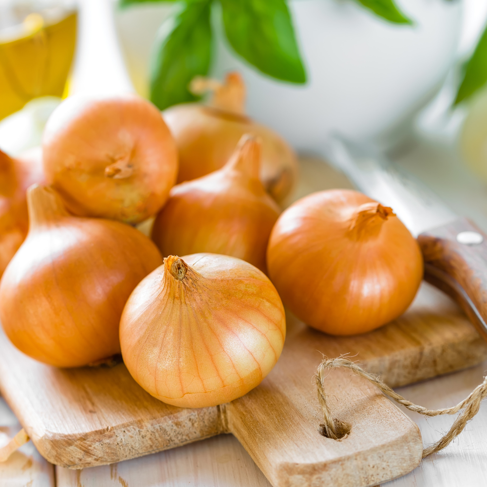 How to Grow Onions in Colorado