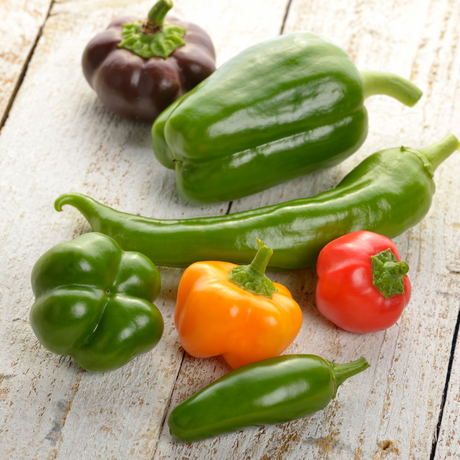 How to Grow Peppers From Seeds