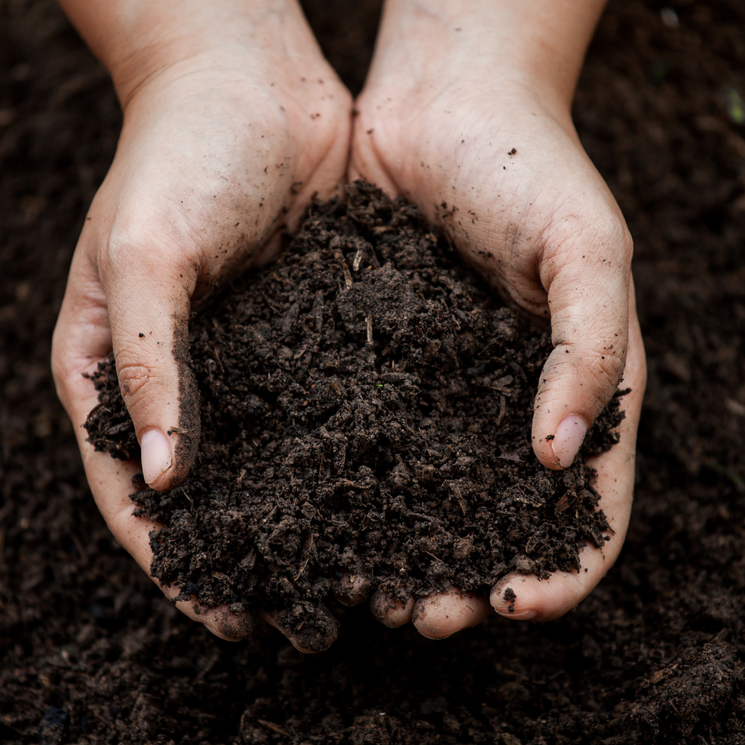 How To Fix Poor Draining Soil Guide