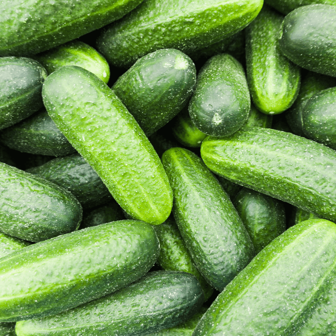 Are Marketmore Cucumbers Bush or Vine?