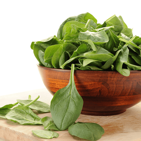 The Best Companion Plants for Spinach
