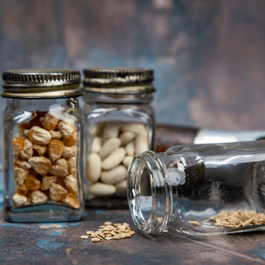 How Long Do Heirloom Seeds Last - Be prepared!