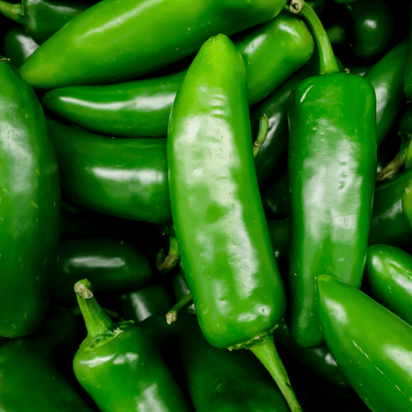 How Many Jalapenos Grow On One Plant