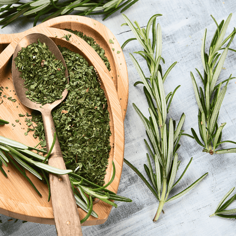 How to Germinate Rosemary Seeds and Get Them to Grow