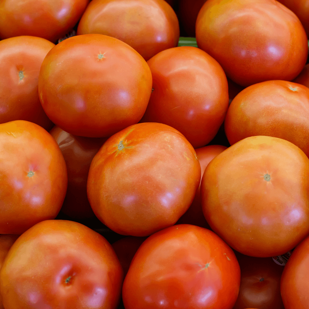 How to Grow Ace 55 Tomato From Seed: A Step-by-Step Guide