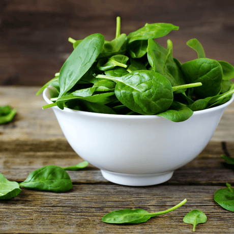 How to Grow Bloomsdale Long Standing Spinach