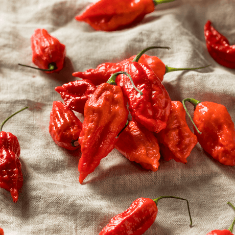 How to Grow Ghost Pepper Seeds: A Comprehensive Guide