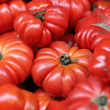 How to Grow Mortgage Lifter Tomato From Seed