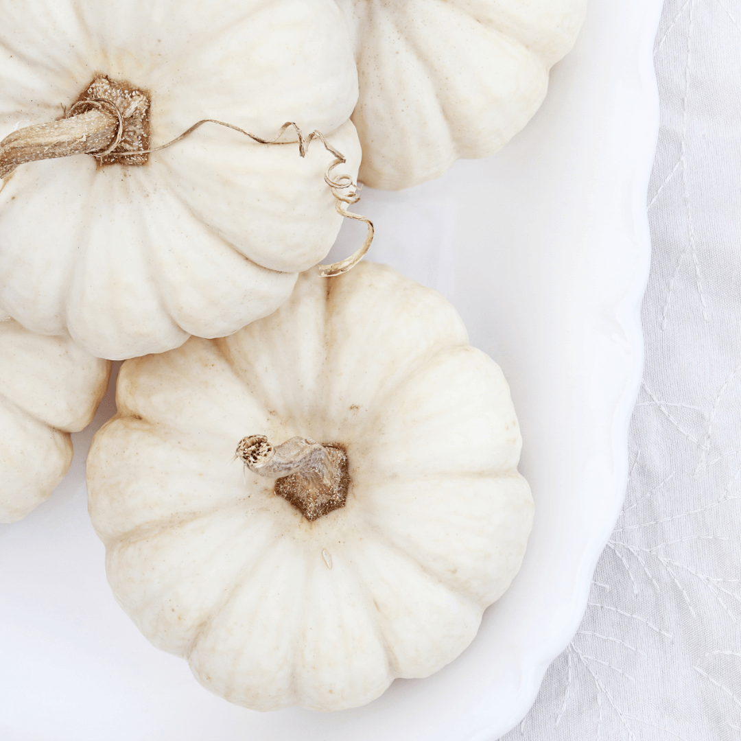 How to Grow Pumpkins in Florida