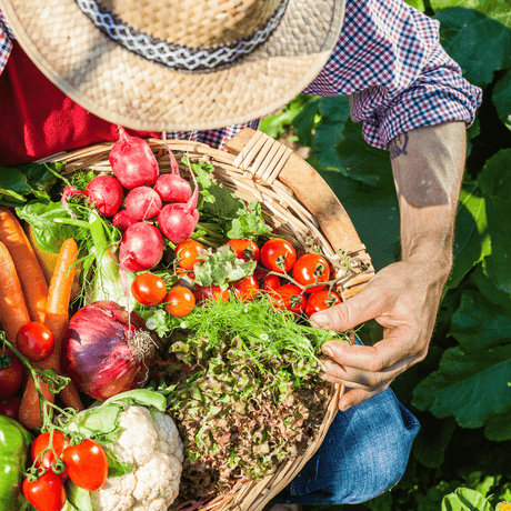 How to Grow Your Own Food Year Round