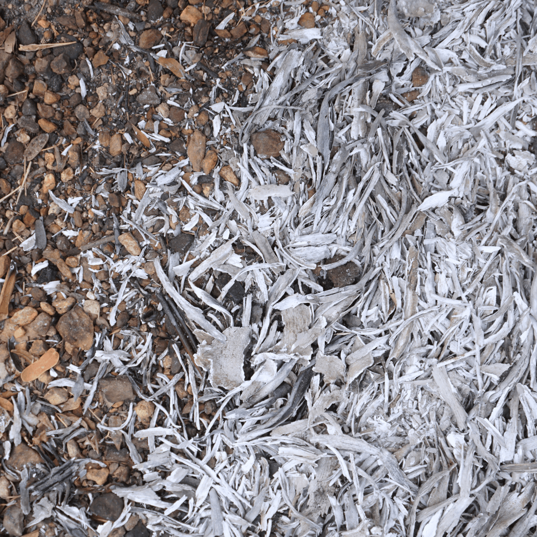 Are Ashes Good For Vegetable Gardens
