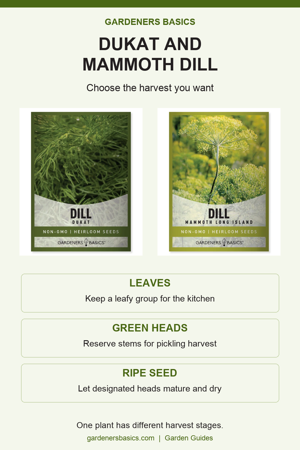 Dukat and Mammoth Long Island dill packet comparison and three harvest goals.