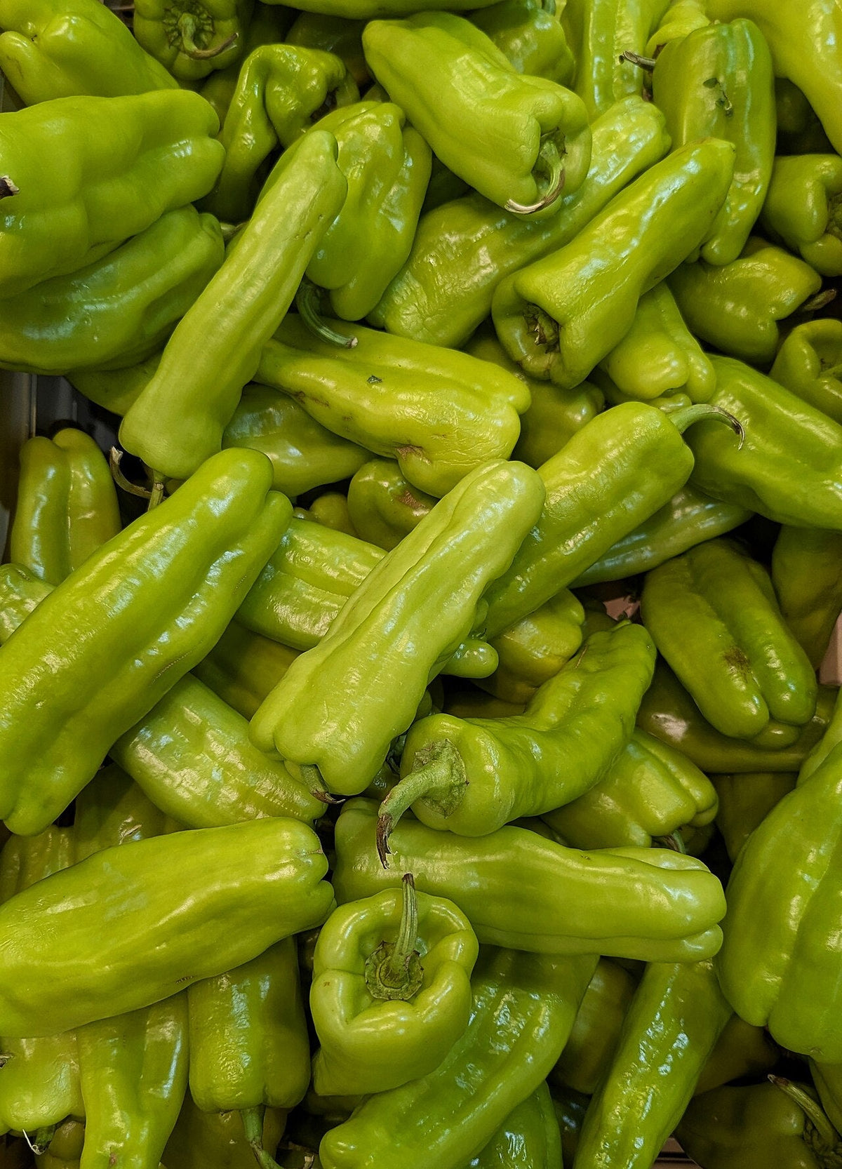 Long pale-green Cubanelle peppers with gently wrinkled sides