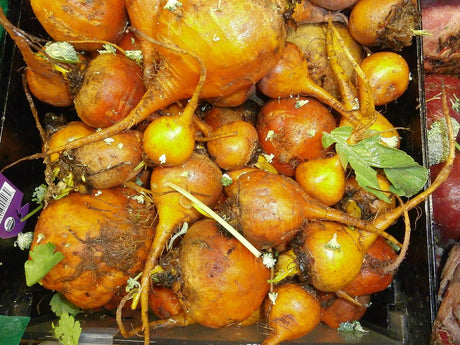 Fresh golden beet roots with yellow-orange skins