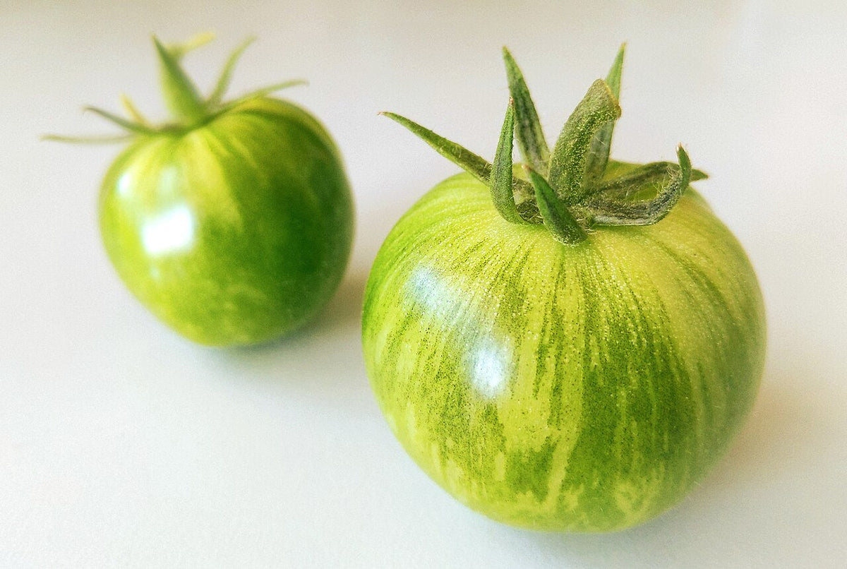 Two green tomatoes with yellow-green stripes