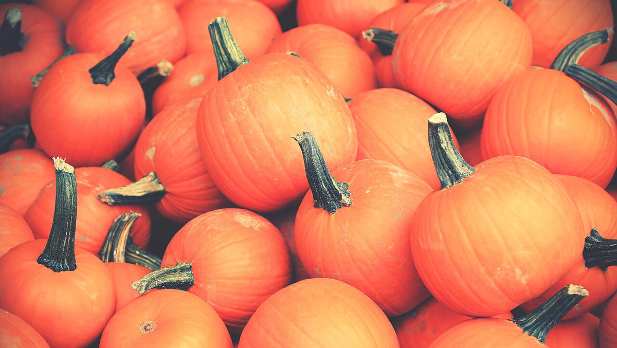 A group of orange pumpkins with intact stems