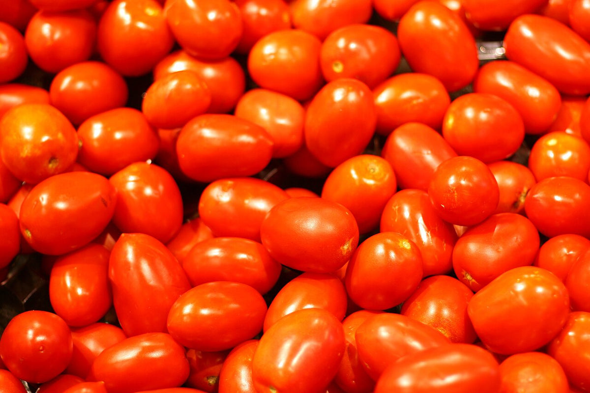 Ripe red plum-shaped Roma tomatoes