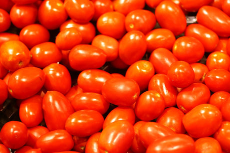 Ripe red plum-shaped Roma tomatoes