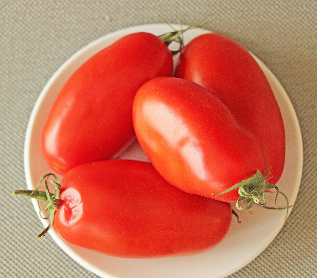 Harvested red San Marzano tomatoes with elongated plum shapes