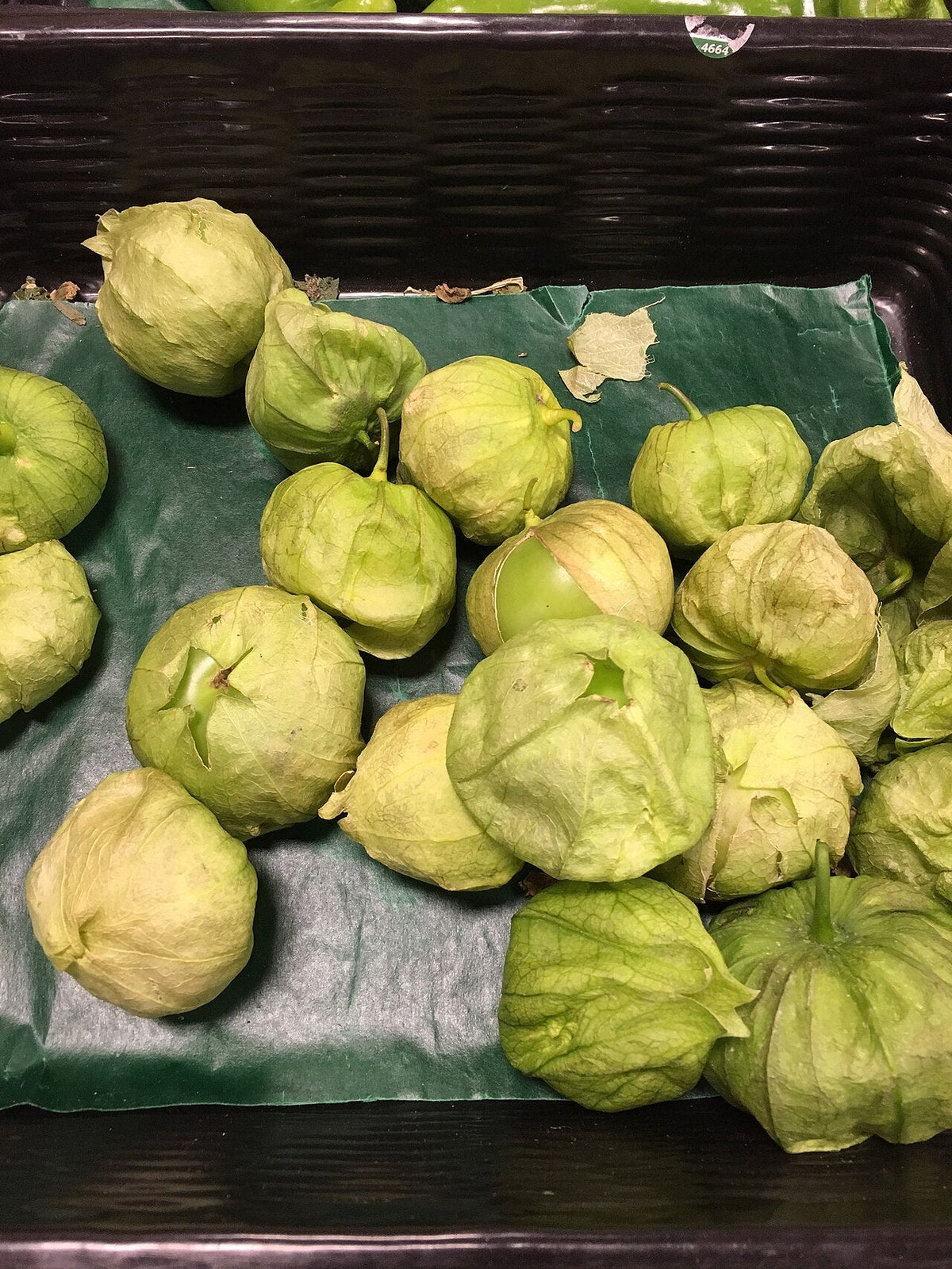 Green tomatillos in their papery husks