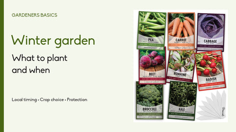 Winter garden: what to plant and when, with Gardeners Basics cool-season seed packets