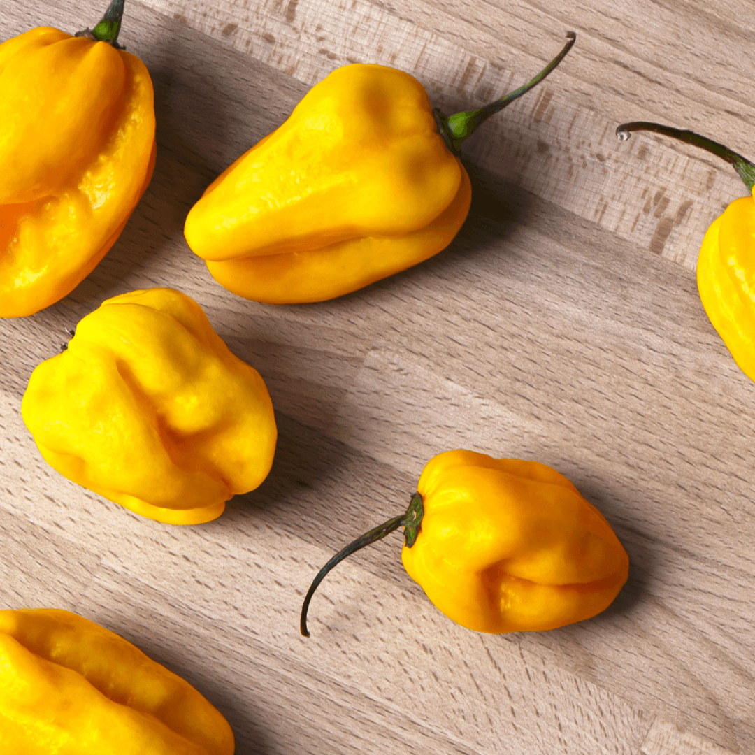 How to Grow a Yellow Habanero Plant from Seed: Get Ready for a Hot and Spicy Garden Adventure!