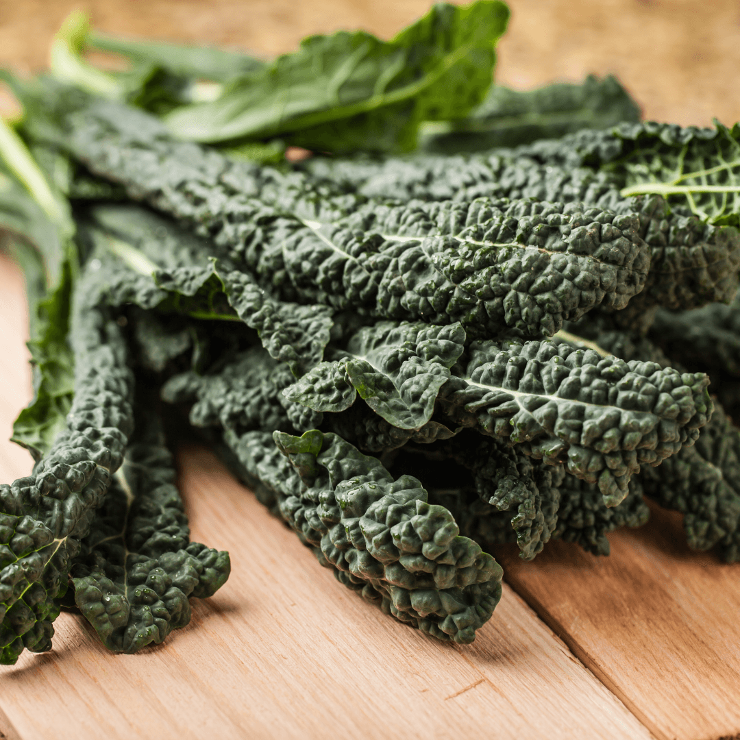 How to Grow Lacinato Kale from Seed (Dinosaur Kale)