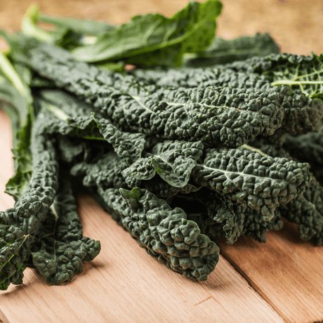 How to Grow Lacinato Kale from Seed (Dinosaur Kale)