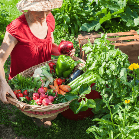 Discover the Benefits of the Seed Safe Survival Seed Packs from Gardeners Basics