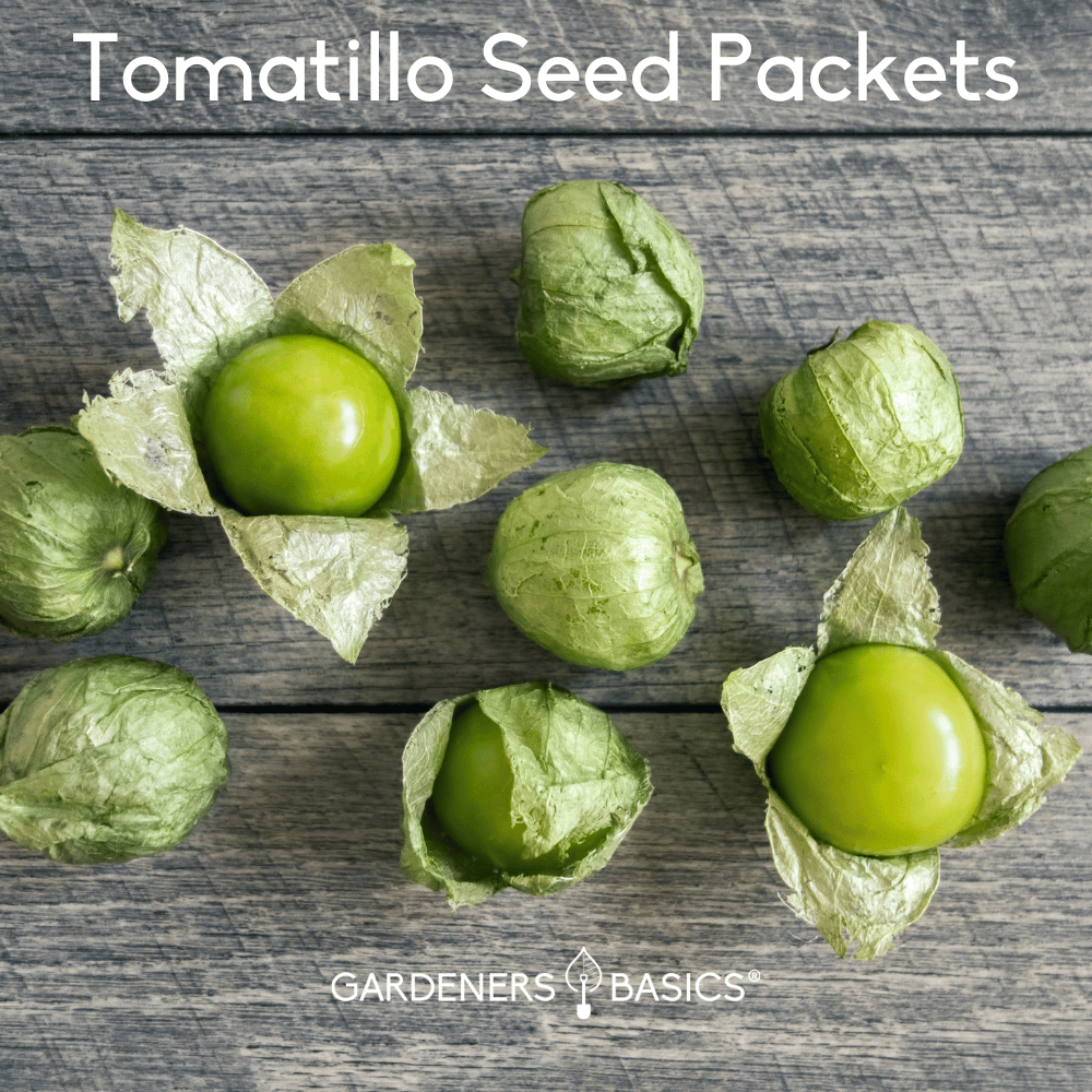 Tomatillo Seeds for Planting A Comprehensive Seed Guide to Varieties