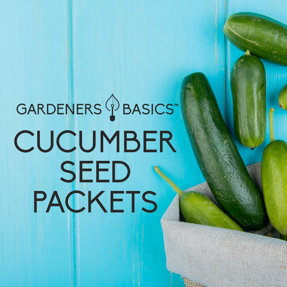 Cucumber Seeds for Planting Enjoy Fresh Homegrown Cucumbers – Gardeners ...