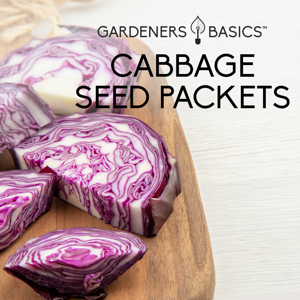 Cabbage Seeds for Planting – Collection for Your Vegetable Garden ...
