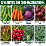 Sugar Daddy peas, Scarlet Nantes carrots, Red Acre cabbage, Detroit Dark Red beets, Cimmaron lettuce, Cherry Belle radishes, Waltham broccoli and Dwarf Siberian kale