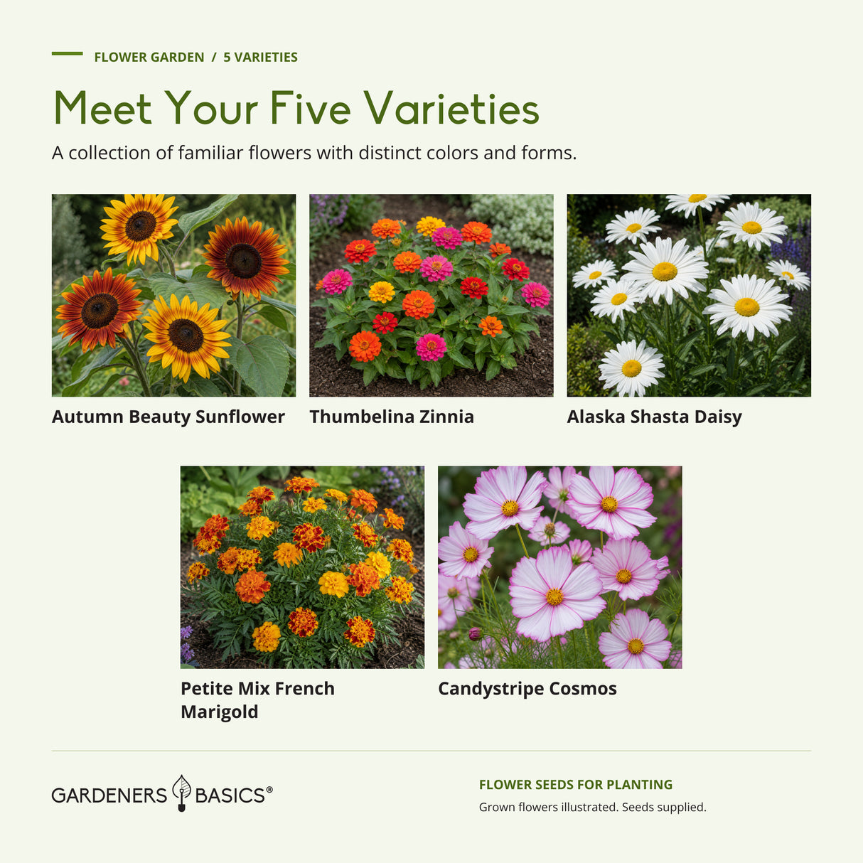 Autumn Beauty Sunflower, Thumbelina Zinnia, Alaska Shasta Daisy, Petite Mix French Marigold and Candystripe Cosmos.