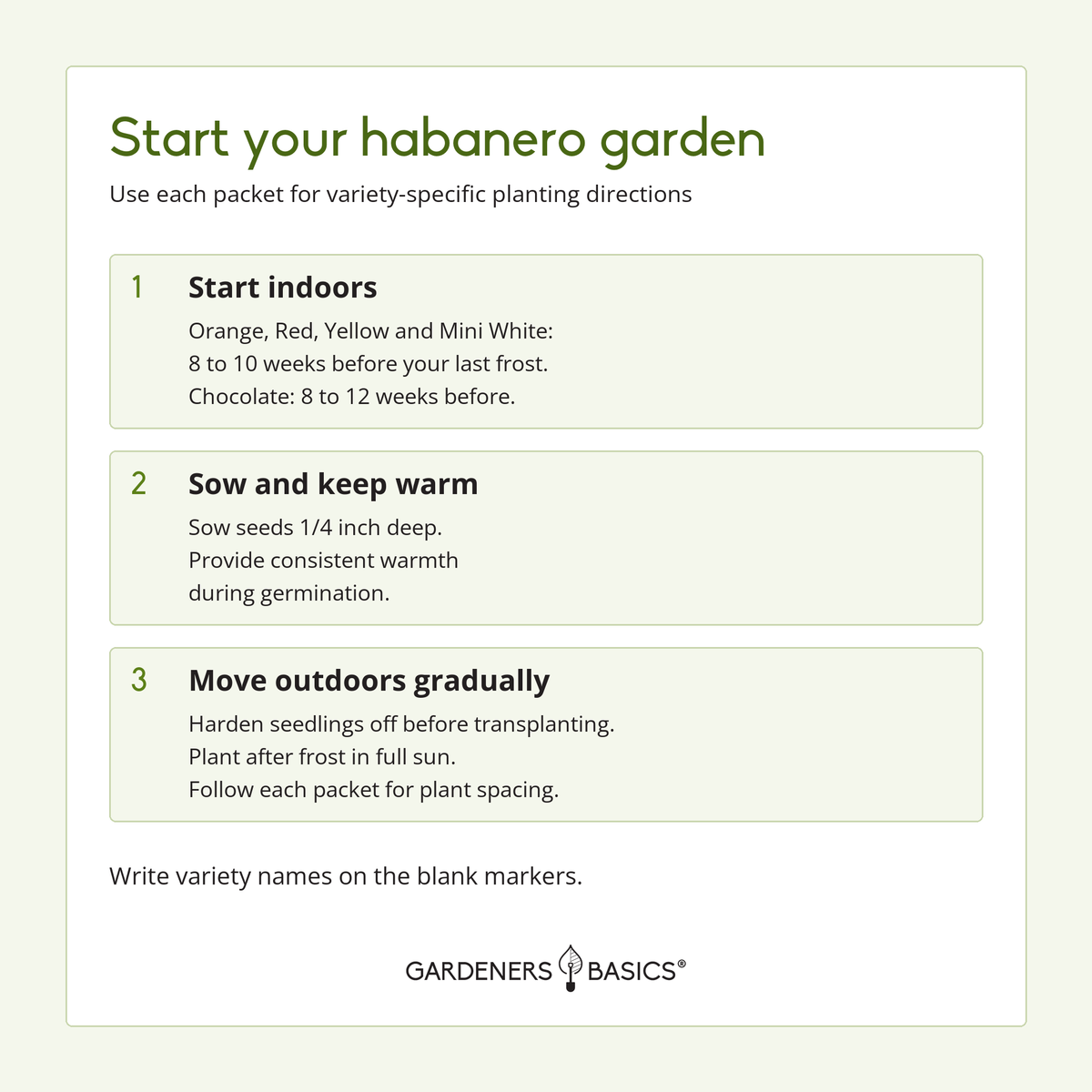 Habanero peppers for hot sauce, salsa, drying and spicy cooking