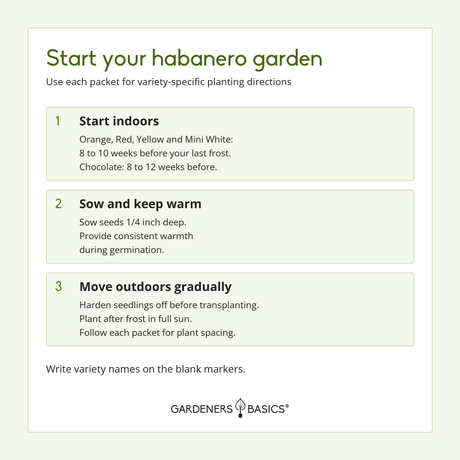 Habanero peppers for hot sauce, salsa, drying and spicy cooking