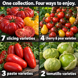 Seven slicing, four cherry and pear, three paste and two tomatillo varieties