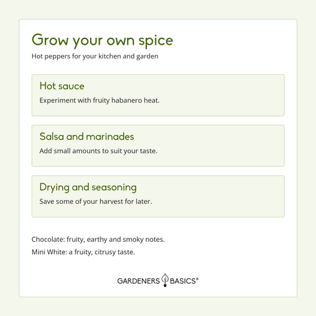 Habanero seed-starting guide with variety-specific timing, sowing depth and full sun