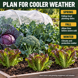 Cool-weather garden with cabbage, broccoli, kale and romaine; spring and fall planting guidance, with winter growing dependent on climate and protection