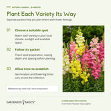 Three planting steps: choose a suitable spot, follow each seed packet, and allow time for establishment.