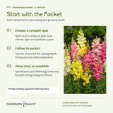 Planting guidance: choose a suitable spot, follow each seed packet and allow time to establish; provide climbing support for Morning Glory.