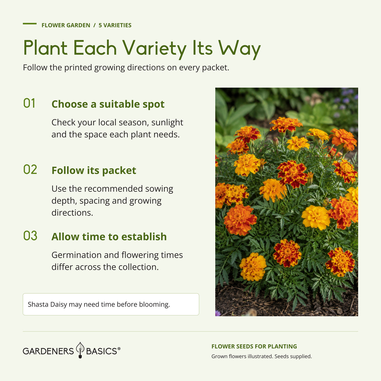 Flower Garden planting guidance: choose a suitable spot, follow each packet and allow time for establishment.