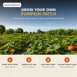 Five labeled pumpkin seed packets with five plant markers and planting guidance