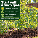Two separate tomatillo plants with guidance on sunlight, frost and support
