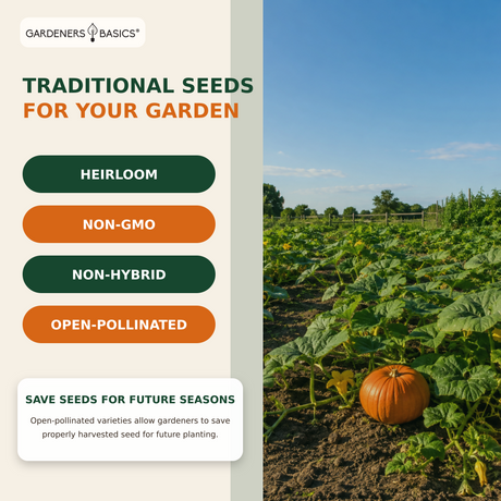 Pumpkin varieties for carving, baking, decorating, and growing large pumpkins
