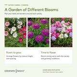 Illustrative hollyhock, zinnia and phlox flowers, with advice to plan for mature size and varied bloom timing.