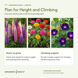 Garden planning with illustrated lupine, zinnia and morning glory; check mature height and spacing and provide support for Morning Glory vines.