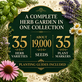 35 herb varieties with about 19,000 seeds, 35 plant markers, and planting guides included