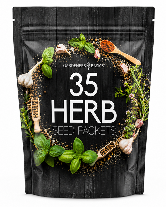 35 Herb Seeds for Planting | Medicinal & Culinary Variety Pack